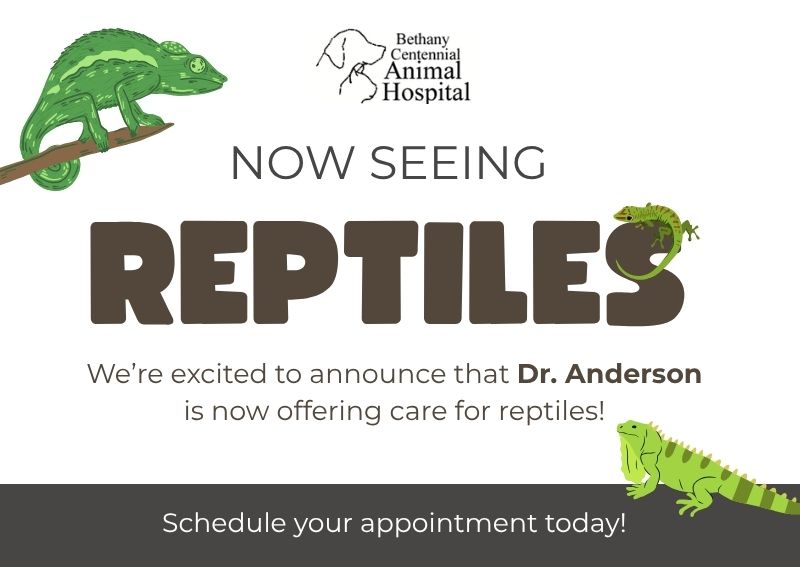 Carousel Slide 1: Learn more about our services!