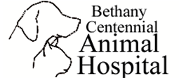 Welcome to Bethany Centennial Animal Hospital!